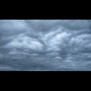 Meet your Posher, Ash